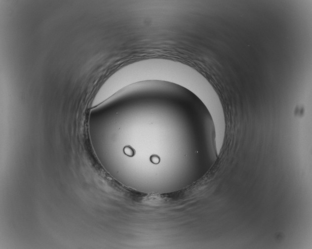 X0000112790231200909111220