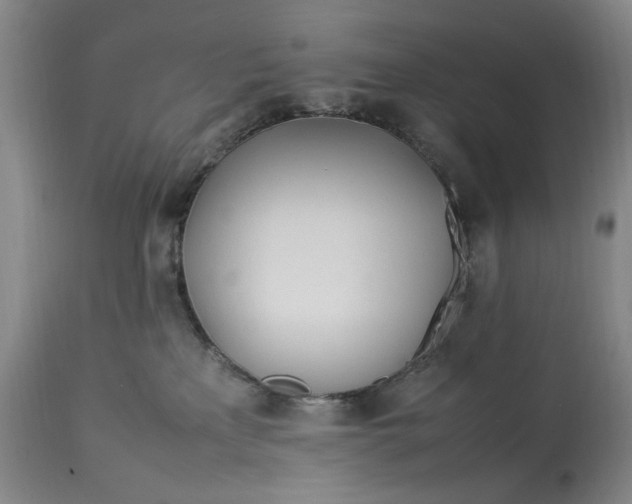 X0000112790233200909111220