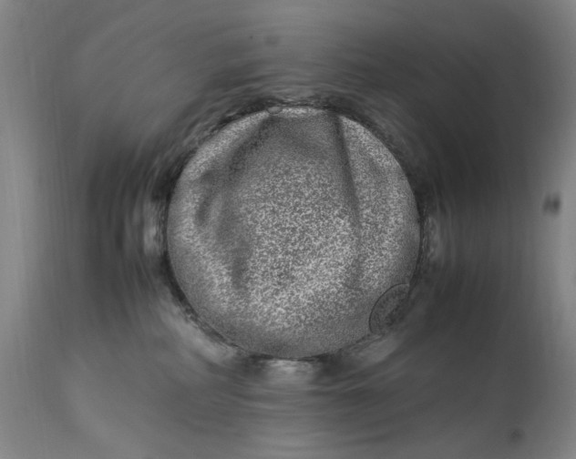 X0000112790234200909111220