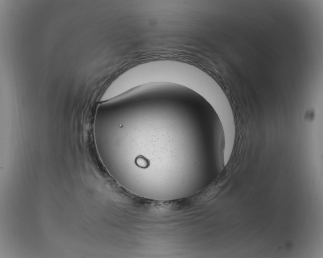 X0000112790235200909111220