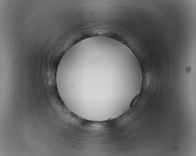 X0000112790236200909111220