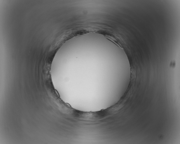 X0000112790237200909111220