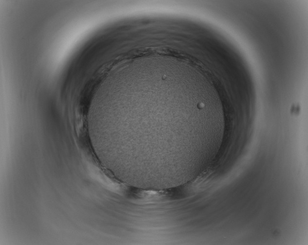 X0000112790239200909111219