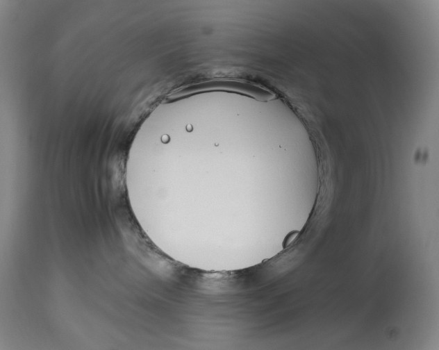 X0000112790240200909111219