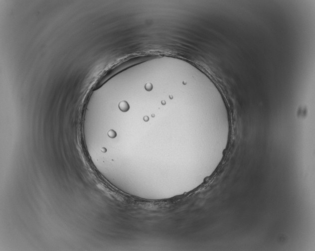 X0000112790241200909111219