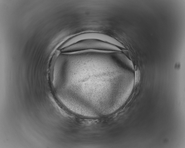 X0000112790243200909111219