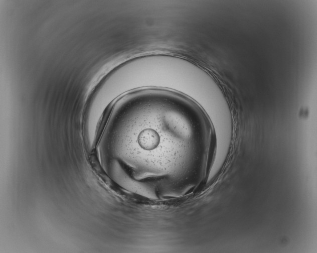 X0000112790244200909111219