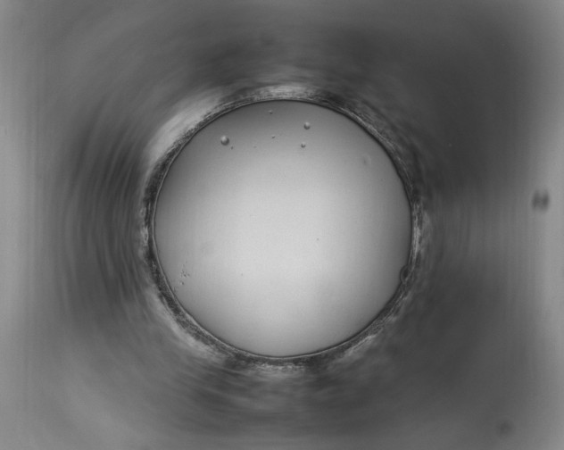 X0000112790245200909111219