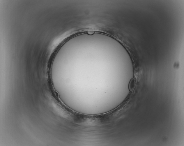 X0000112790248200909111219