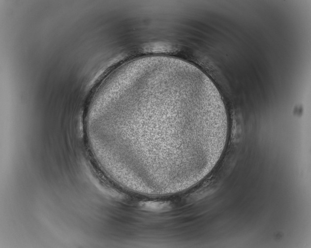 X0000112790251200909111219