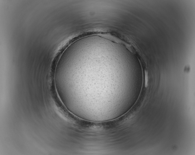 X0000112790252200909111219