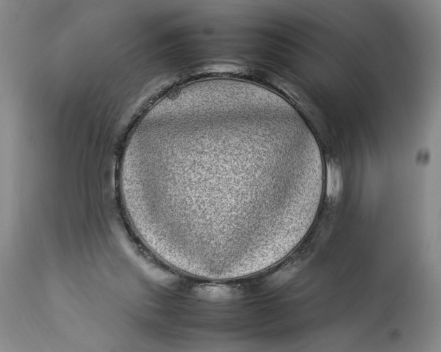 X0000112790253200909111219