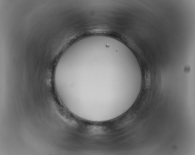 X0000112790255200909111219