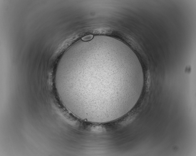 X0000112790258200909111219