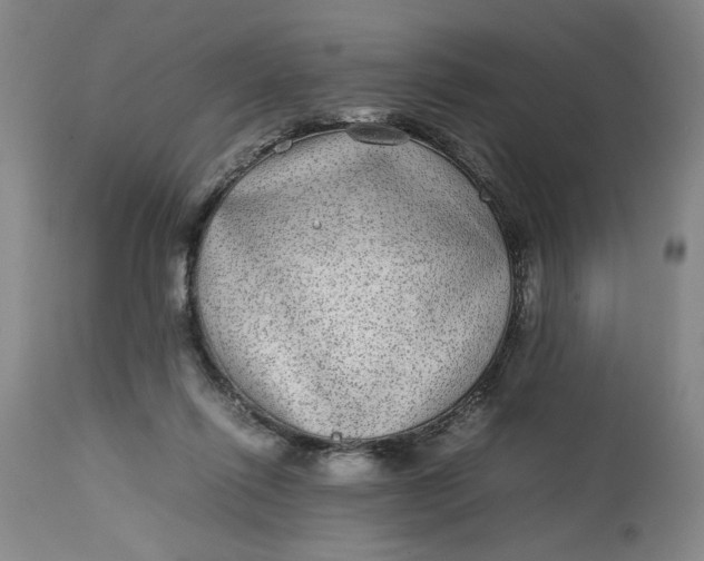 X0000112790262200909111219