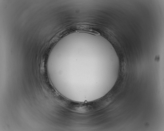 X0000112790267200909111219