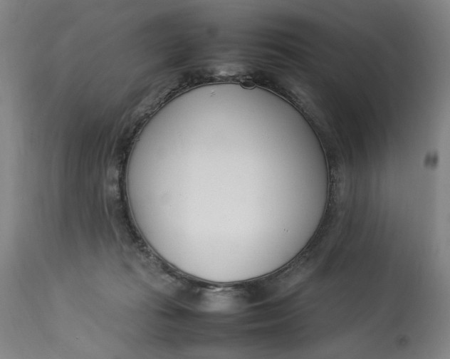 X0000112790269200909111219