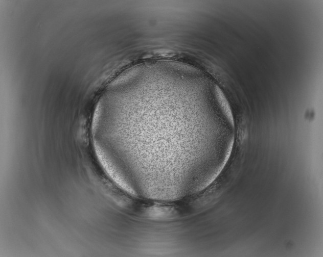 X0000112790270200909111219