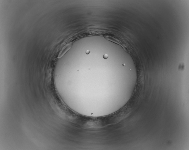 X0000112790271200909111219