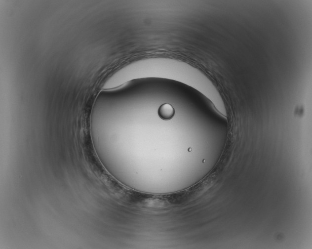 X0000112790272200909111219