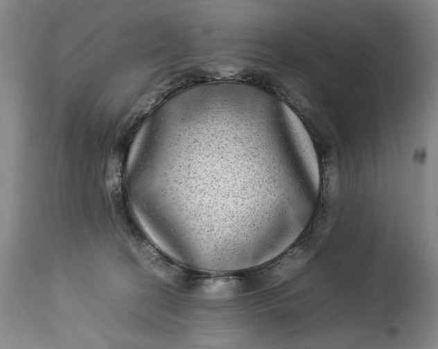 X0000112790274200909111219