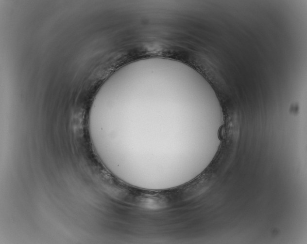 X0000112790275200909111219