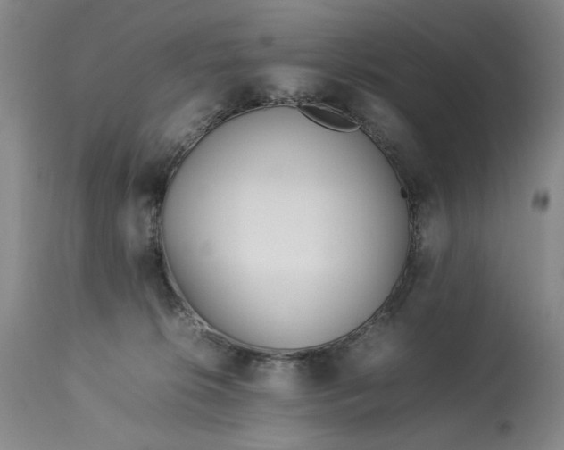 X0000112790276200909111219