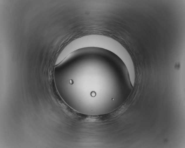 X0000112790280200909111219