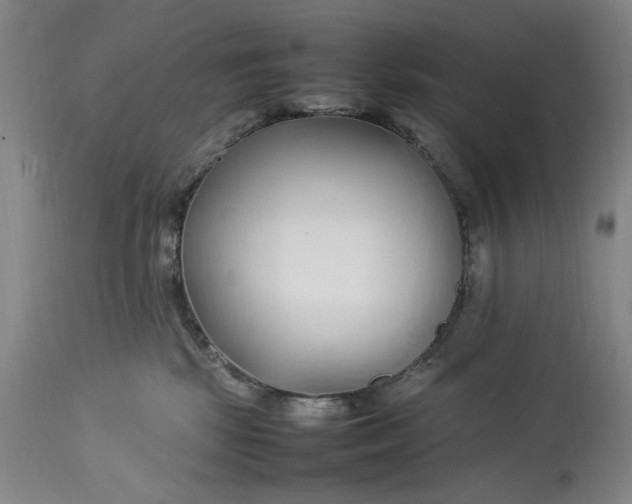 X0000112790281200909111219