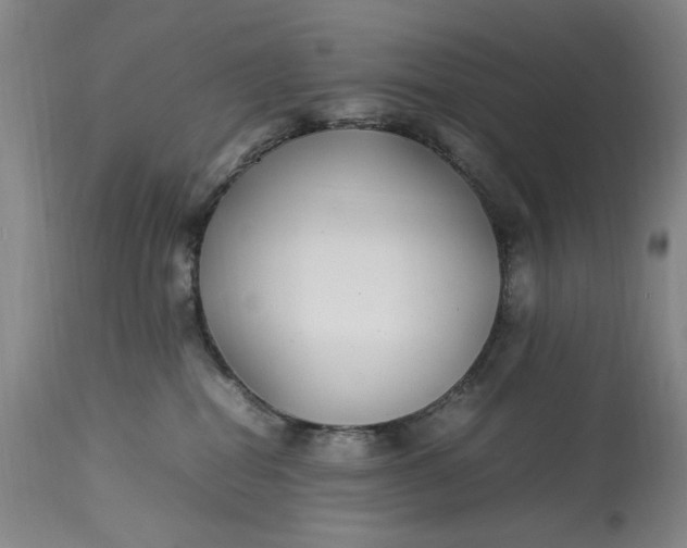 X0000112790282200909111219