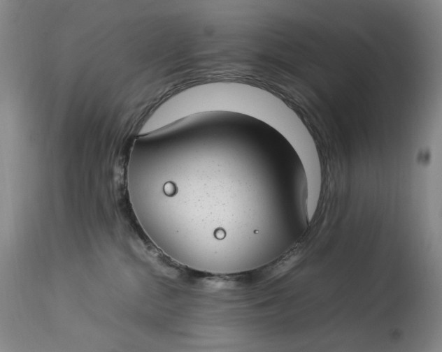 X0000112790284200909111219