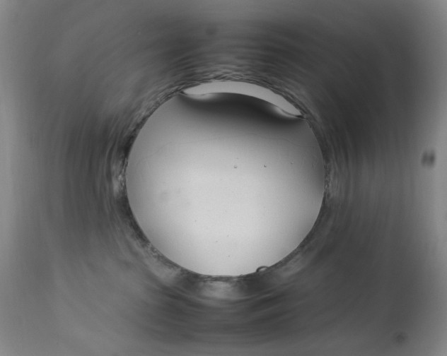 X0000112790285200909111219