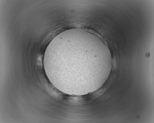 X0000112790286200909111219