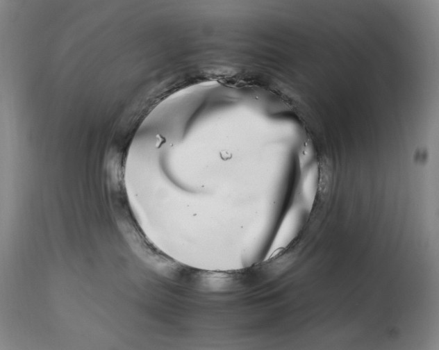 X0000112790287200909111219