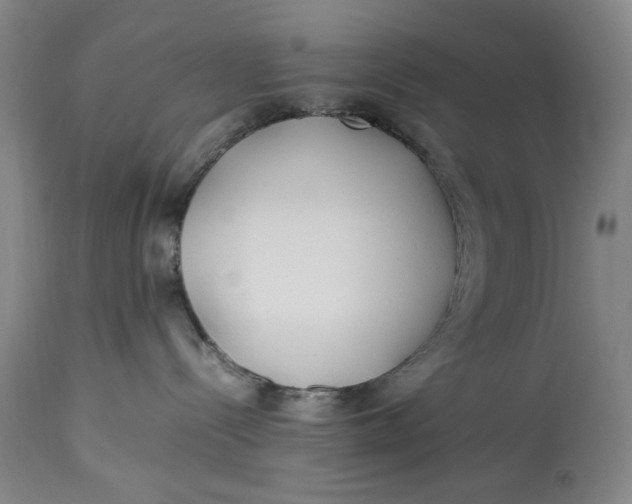 X0000112790288200909111219