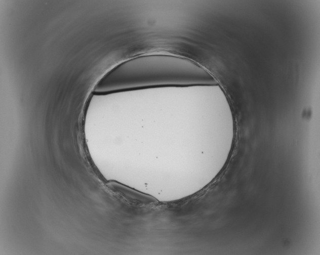 X0000112790289200909111219