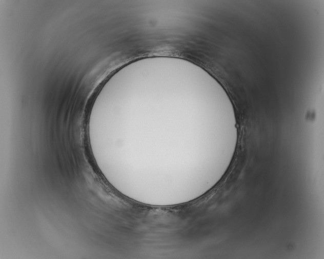 X0000112790290200909111219