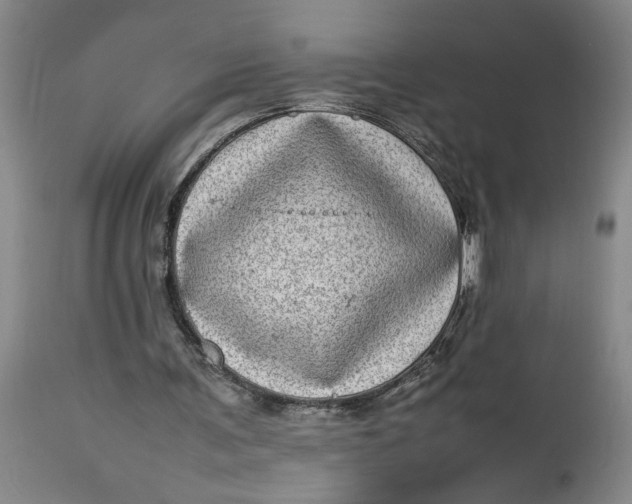 X0000112790291200909111219