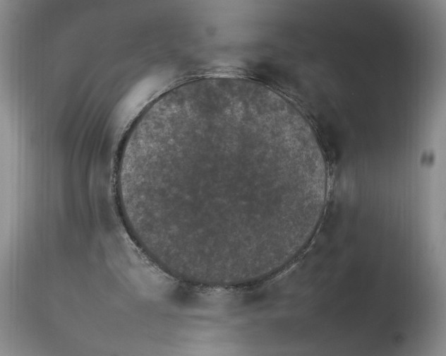 X0000112790293200909111219