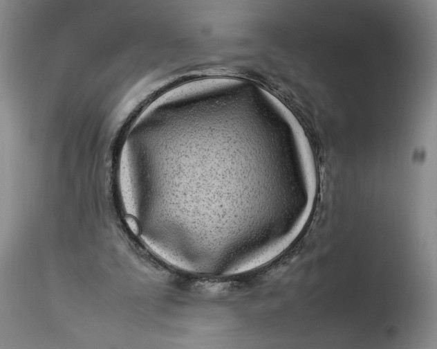 X0000112790295200909111219