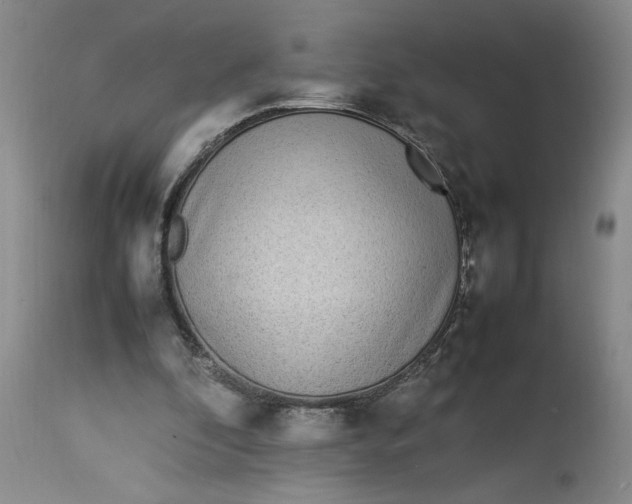 X0000112790296200909111219