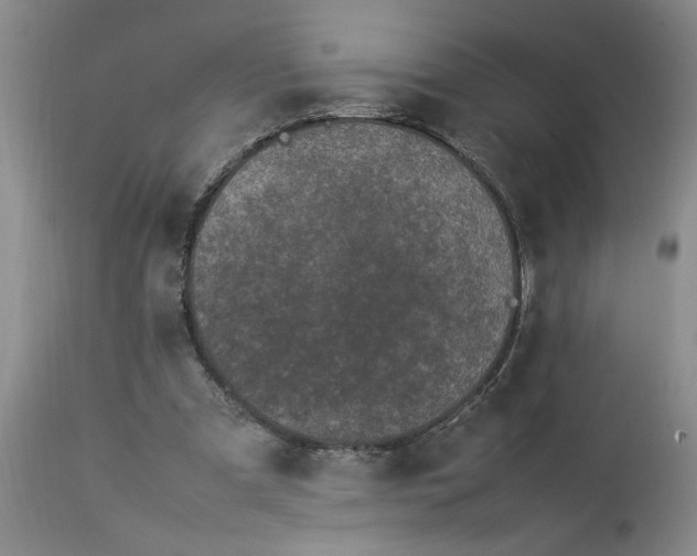 X0000112790297200909111219