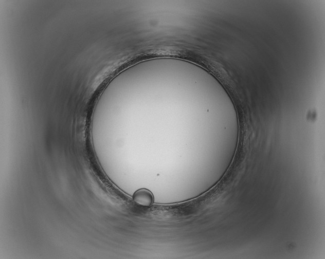 X0000112790299200909111219