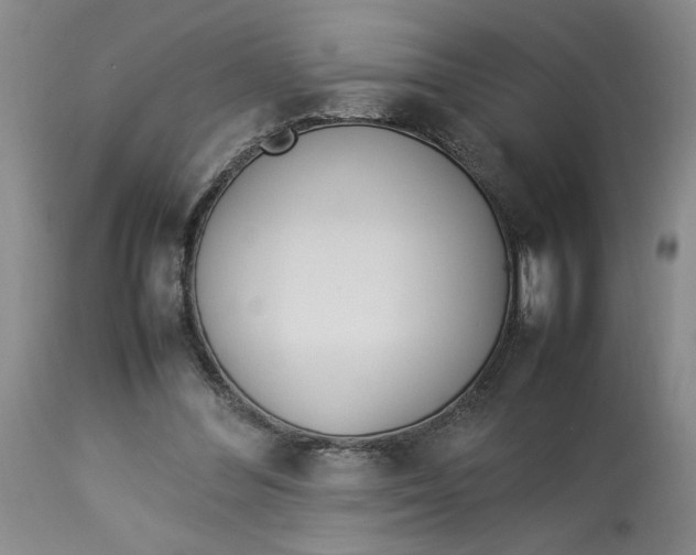 X0000112790300200909111219