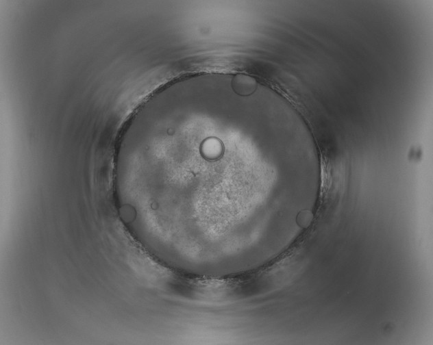 X0000112790301200909111219