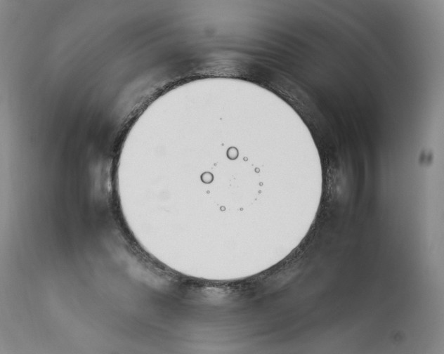 X0000112790302200909111219