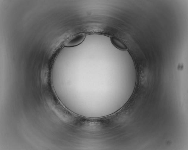 X0000112790304200909111219