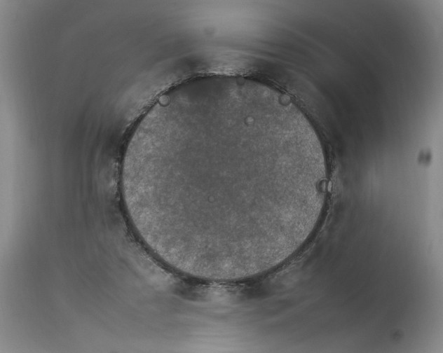 X0000112790305200909111219