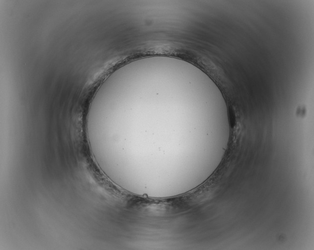 X0000112790306200909111219