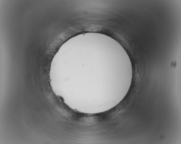 X0000112790307200909111219